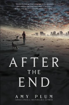 After the End book