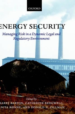 Energy Security book