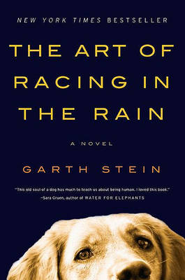 The The Art of Racing in the Rain by Garth Stein