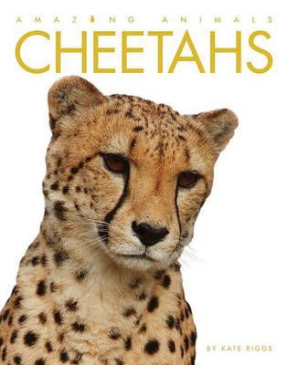 Cheetahs book