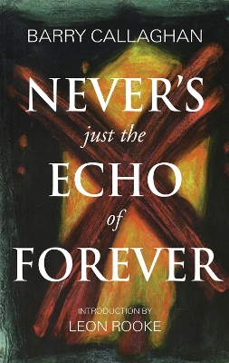 Never's Just the Echo of Forever book