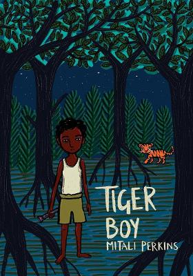 Tiger Boy book