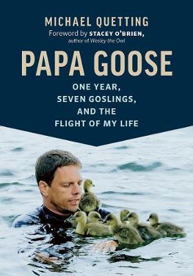 Papa Goose book