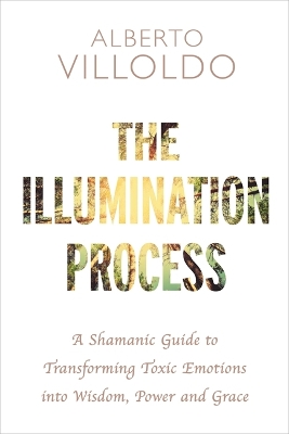 The Illumination Process: A Shamanic Guide to Transforming Toxic Emotions into Wisdom, Power, and Grace book