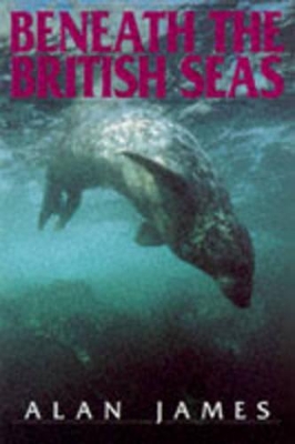 Beneath British Seas book