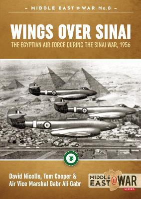 Wings Over Sinai book