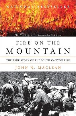 Fire on the Mountain book