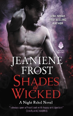 Shades of Wicked: A Night Rebel Novel book