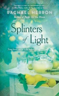 Splinters of Light book