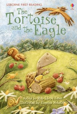 Tortoise and the Eagle book