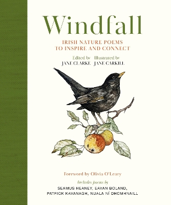 Windfall: Irish Nature Poems to Inspire and Connect book