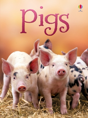 Usborne Beginners: Pigs book