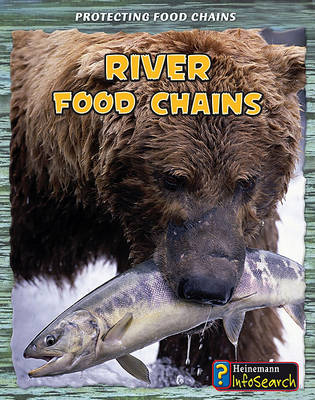 River Food Chains by Rachel Lynette