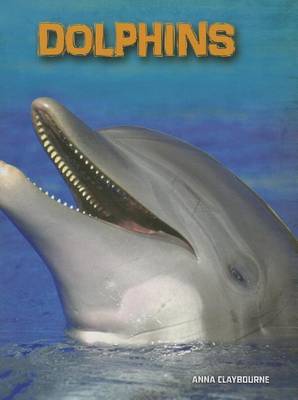 Dolphins by Anna Claybourne