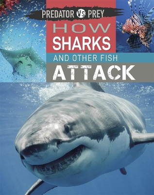 Predator vs Prey: How Sharks and other Fish Attack by Tim Harris