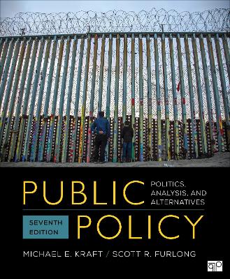 Public Policy: Politics, Analysis, and Alternatives book