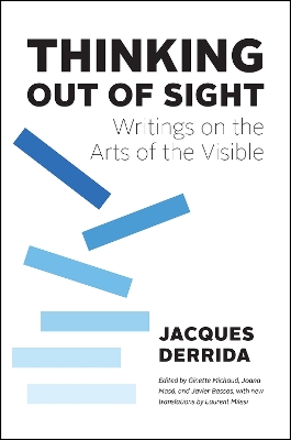 Thinking Out of Sight: Writings on the Arts of the Visible book