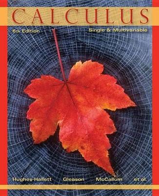 Calculus Single and Multivariable 6E by Deborah Hughes-Hallett