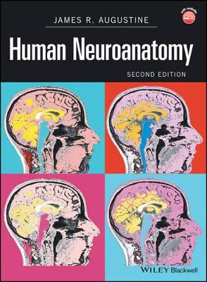 Human Neuroanatomy by James R. Augustine