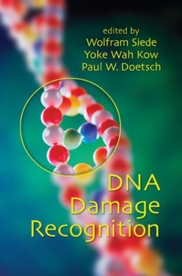DNA Damage Recognition by Wolfram Siede