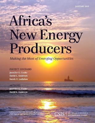 Africa's New Energy Producers book