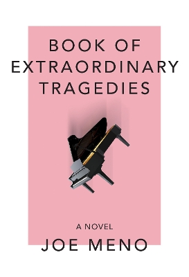 Book of Extraordinary Tragedies by Joe Meno