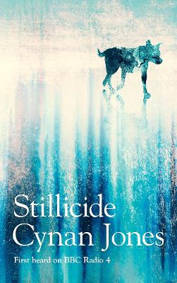 Stillicide by Cynan Jones