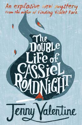 Double Life of Cassiel Roadnight book