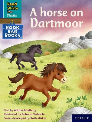 Read Write Inc. Phonics: A horse on Dartmoor (Blue Set 6 Book Bag Book 2) book