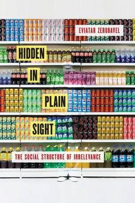 Hidden in Plain Sight by Eviatar Zerubavel