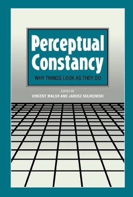 Perceptual Constancy by Vincent Walsh
