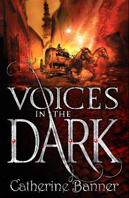 Voices in the Dark book