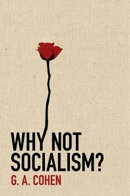 Why Not Socialism? book