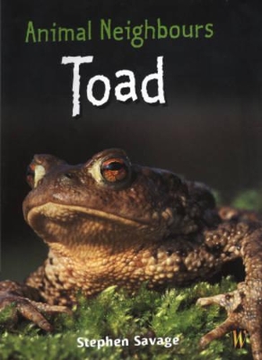 Animal Neighbours: Toad by Stephen Savage