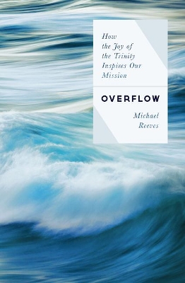 Overflow book