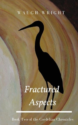 Fractured Aspects book