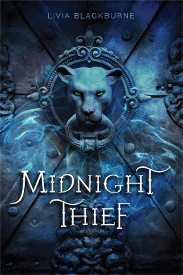Midnight Thief book
