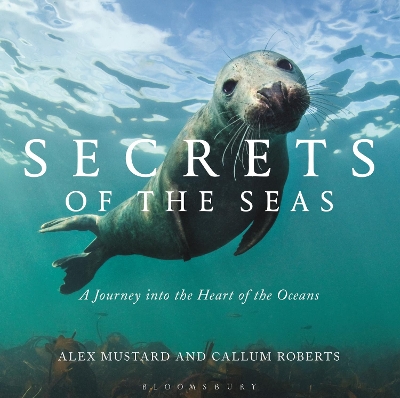 Secrets of the Seas book