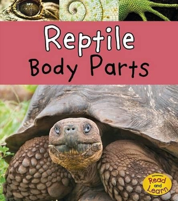 Reptile Body Parts (Animal Body Parts) by Clare Lewis