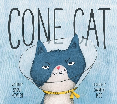 Cone Cat book