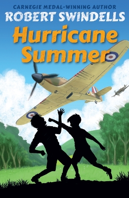 Hurricane Summer book