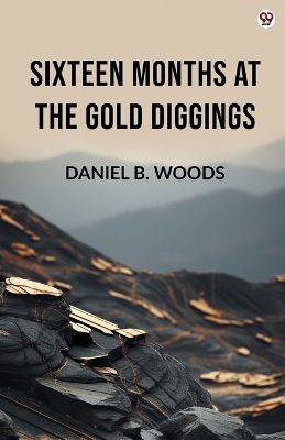 Sixteen Months At The Gold Diggings (Edition1) book