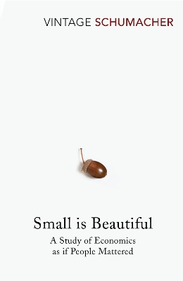 Small Is Beautiful book