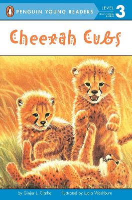 Cheetah Cubs book