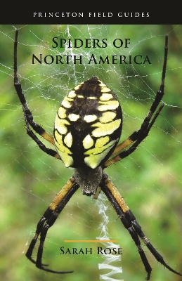 Spiders of North America book