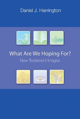 What are We Hoping For? book