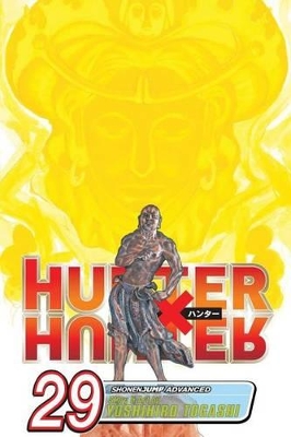 Hunter x Hunter, Vol. 29 book