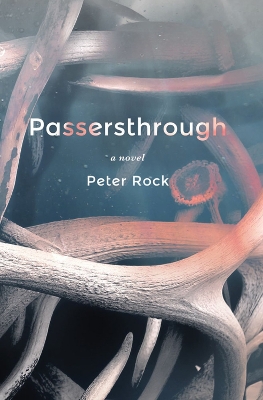 Passersthrough book