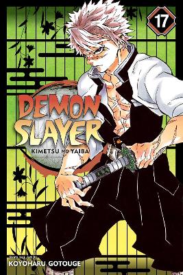 Demon Slayer: Kimetsu no Yaiba, Vol. 17 book