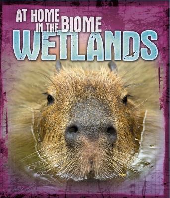 At Home in the Biome: Wetlands book